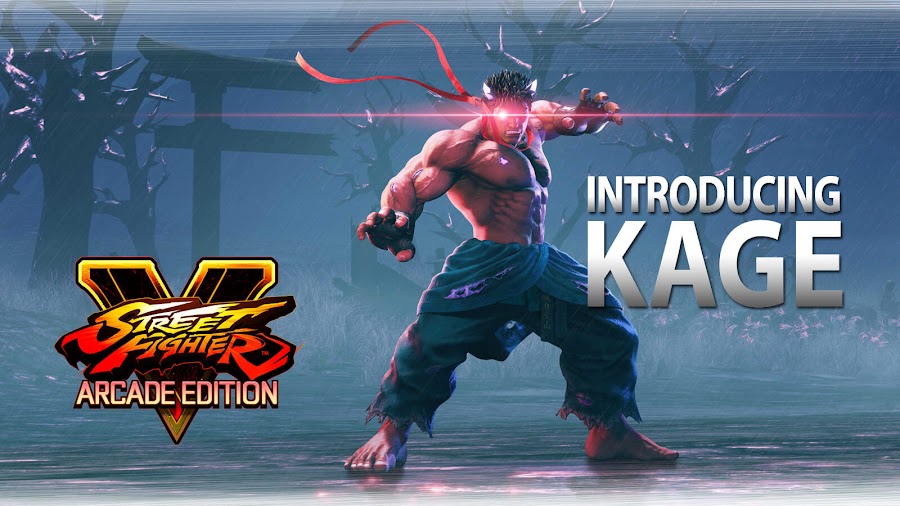 street fighter 5 arcade edition kage season 4 dlc