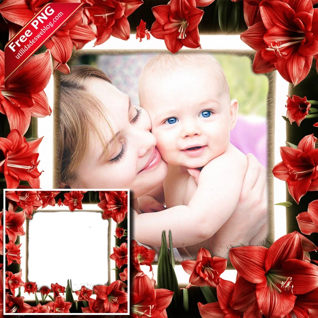 marco para fotos con flor de amaryllis color rojo en png con fondo transparente para descargar gratis