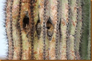 IMG_9708