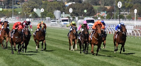 race 7_finish 1