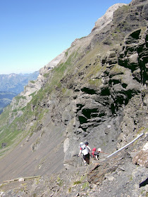 sefinenfurke