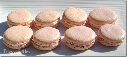 macarons