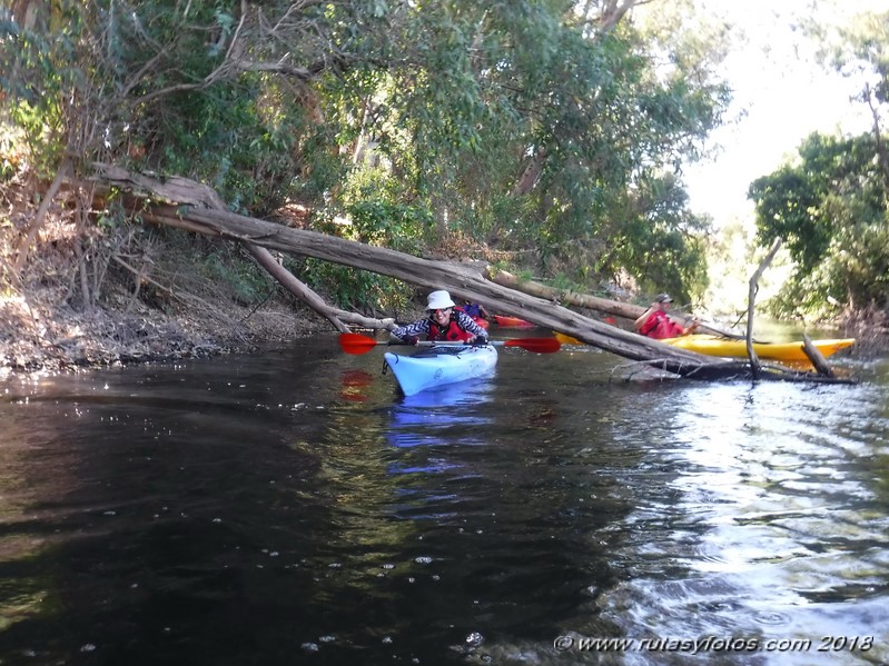 Kayak río Palmones