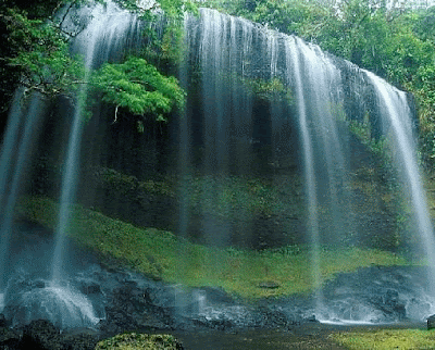 A beautiful waterfall with greenery around