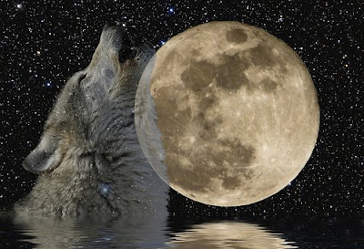 Biggest Brightest Moon of 2009 This Weekend//Full Moon Meditations and Rituals: January 2009’s Wolf ...