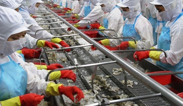 Tìm hiểu Nhật Bản nuôi trồng và chế biến thủy sản như thế nào