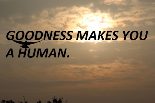 GOODNESS MAKES YOU A HUMAN.