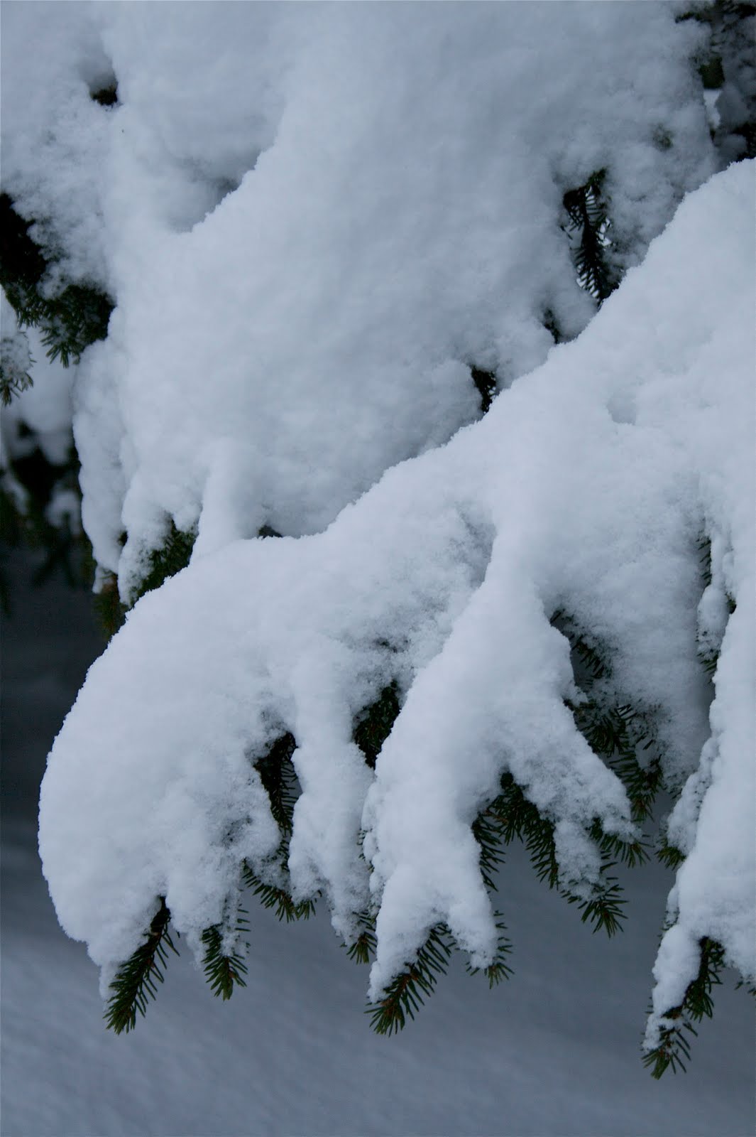 Snøen daler ned