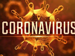 Tahukah Anda Berapa Jenis Coronavirus Yang Pernah 'Menyerang' Dunia?