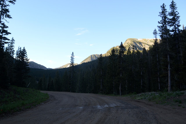 peaks in light above the dark trees