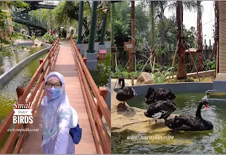 Jakarta Bird Land Ancol: Wisata Edukasi Berinteraksi Dengan Aneka Burung