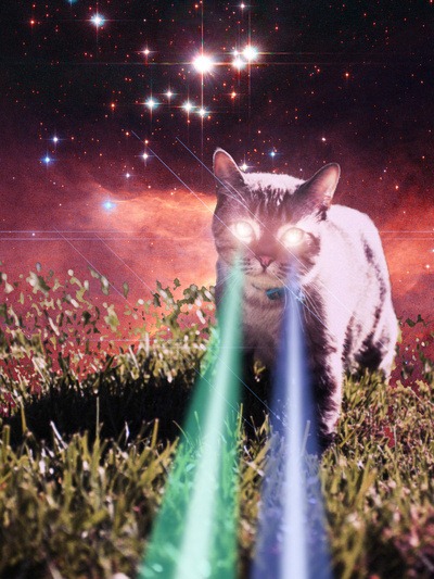 355772_14274276_b