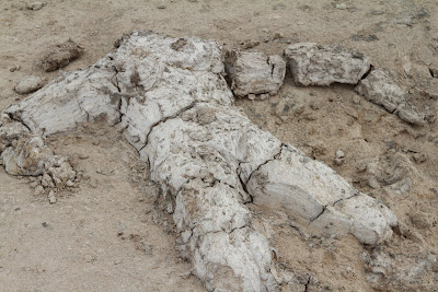 Salton Sea Mud Pots