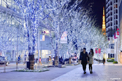 ::: Special ::: 2016 Christmas In Tokyo - Episode 1!! Tokyo Midtown Christmas and Roppongi Hills Artelligent Christmas 2016!!