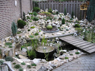 succulent rock garden ideas