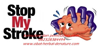 obat stroke herbal,obat herbal stroke,obat stroke denature,obat lumpuh separo,obat stroke ringan,obat stroke berat