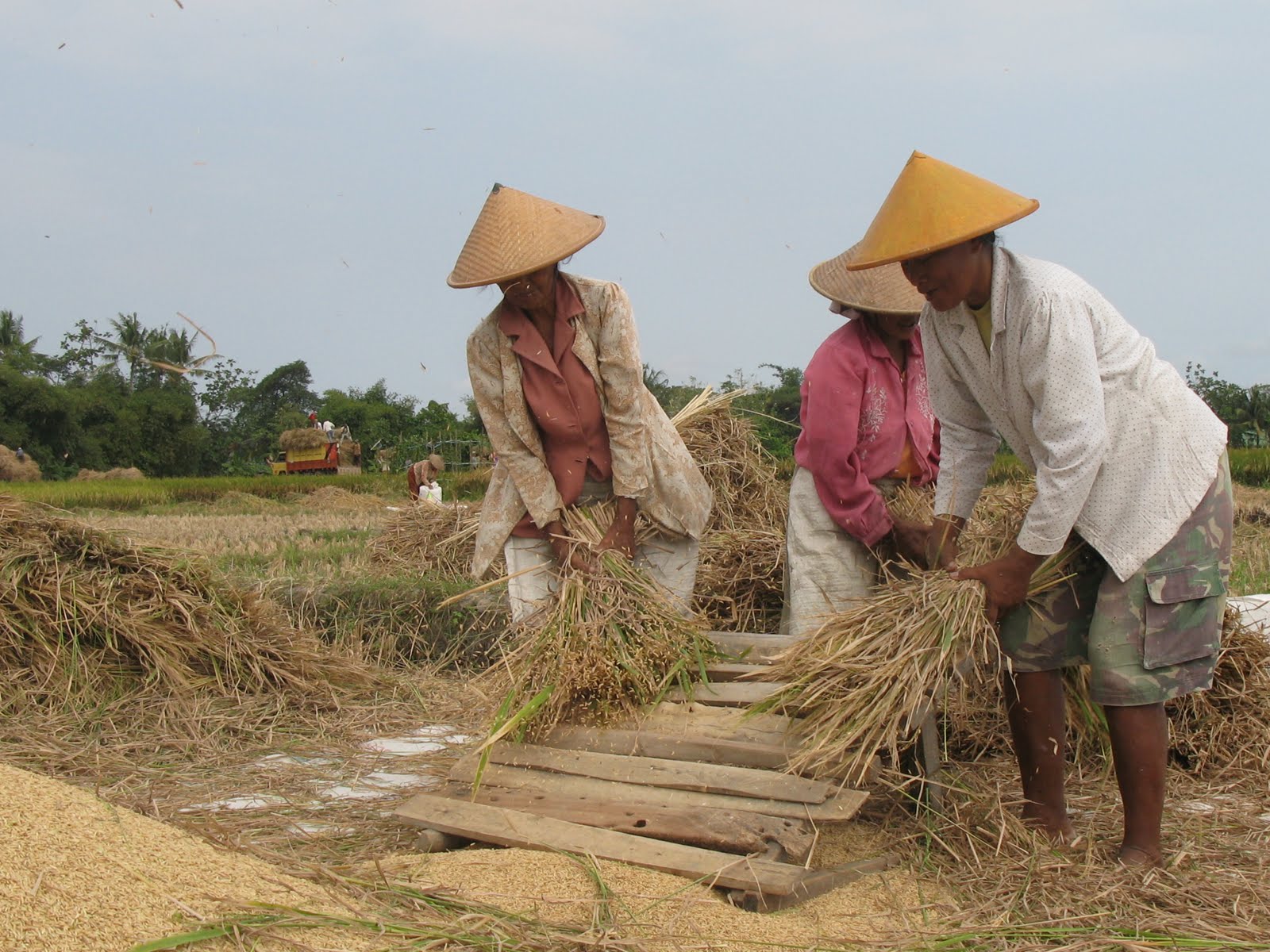 LINGKUNGAN BISNIS: Lingkungan Sosial Budaya