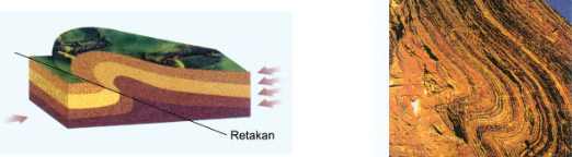 Tenaga Endogen : Pengertian, Jenis/Macam, dan Proses Pembentukan Muka Bumi