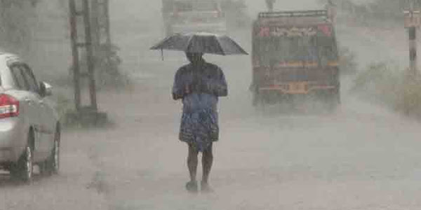 Heavy winds and rain | മലയോര മേഖലകളില്‍ കനത്ത കാറ്റും മഴയും: ഇരുവഞ്ഞിപ്പുഴയിലെ അരിപ്പാറയില്‍ ശക്തമായ മലവെള്ളപ്പാച്ചില്‍; വനത്തിനുള്ളില്‍ ഉരുള്‍ പൊട്ടലുണ്ടായതായി സംശയം, താഴ്ന്ന പ്രദേശങ്ങളില്‍ താമസിക്കുന്നവര്‍ ജാഗ്രത പുലര്‍ത്തണമെന്ന് മുന്നറിയിപ്പ്