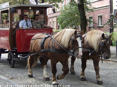 Warszawa Bryczka