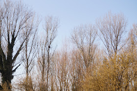 Norfolk Boxing day countryside in pictures