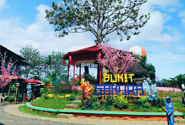 tiket masuk bukit sakura lampung