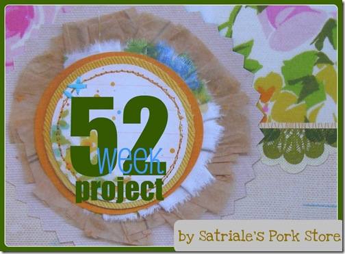 52weekproject_blinkie2012