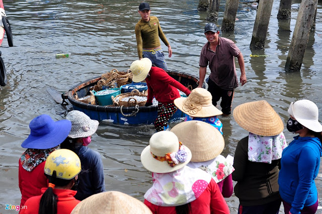 Ngư dân Quảng Ngãi trúng đậm cá cơm đầu năm