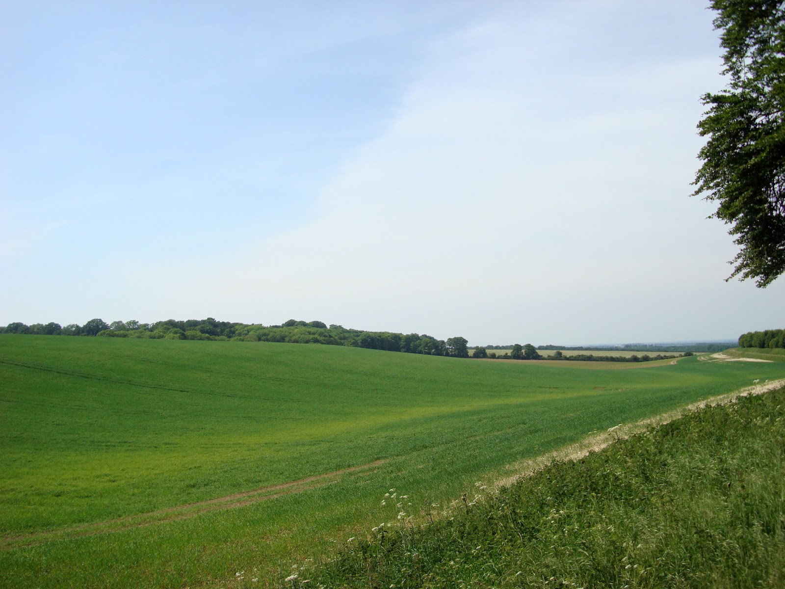 DSC08066.JPG