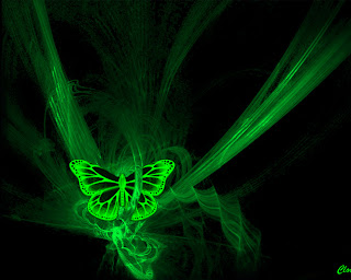 abstract butterfly Mediafire Picture Wallpapers{ilovemediafire.blogspot.com}