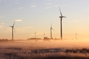 Wind Energy Is the Best Source of Renewable Energy 