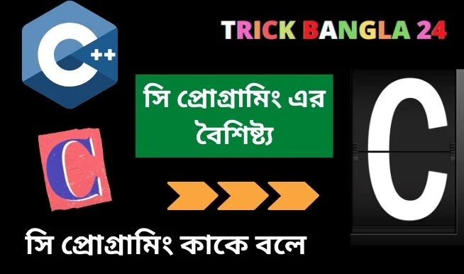 সি প্রোগ্রামিং কাকে বলে, সি প্রোগ্রামিং এর কাজ