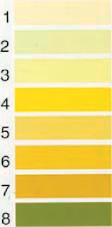 Urine Colour Measurement