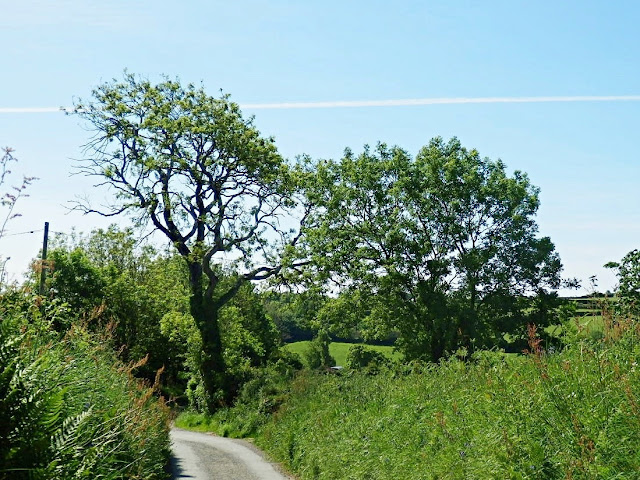 Vapour trail in Cornwall