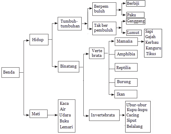 Membedah Struktur Teks Laporan Mikirbae