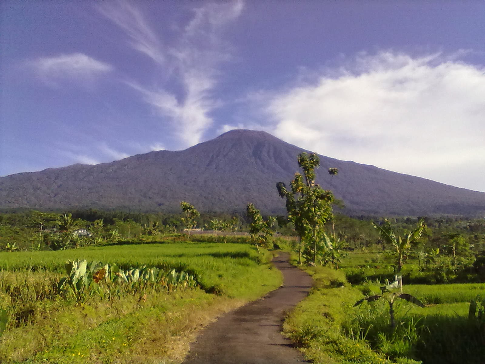 7 Gunung Tertinggi  di  Pulau  Jawa  INFORMASI BERITA DAN TIPS
