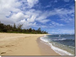 north shore 12