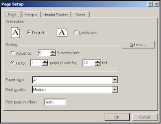 Excel fit to pages