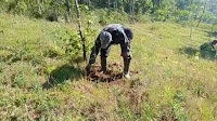 Dansektor 03, Kolonel Hudiono Selamatkan Lahan Kritis Dengan Pemeliharaan Pohon Keras