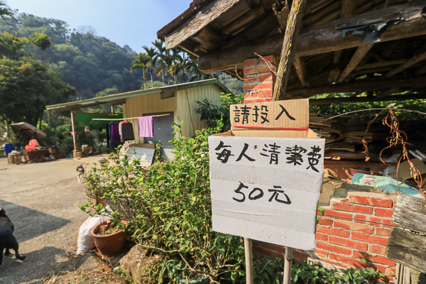 台中新社李花園滿山谷李樹雪白花海，李花隧道拍美照、白冷圳5號渡槽