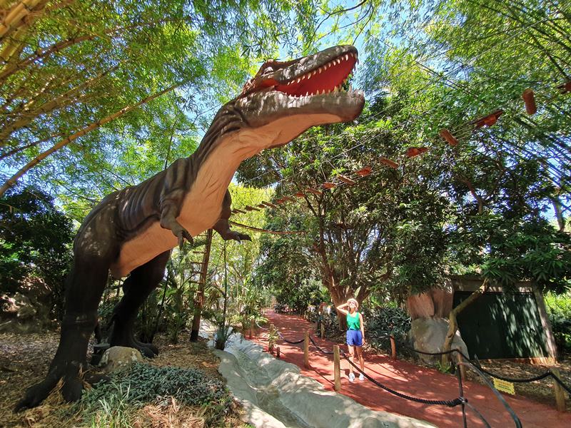 Vale dos Dinossauros - Dreams Park Show