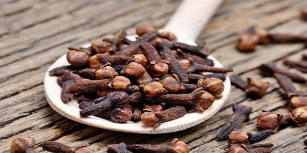 Cloves, Herbs and Spices with Various Benefits