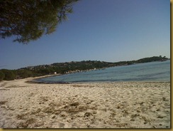 IMG00250-20120228-1139