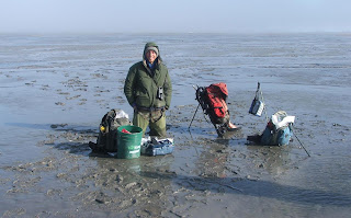 [Capturing post-breeding shorebirds]