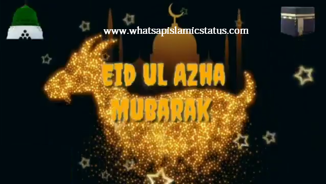 eid-ul-azha-mubarak-status-for-whatsapp