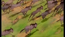 10 les gnous