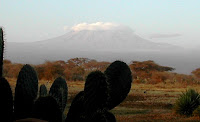 Kilimanjaro in morning