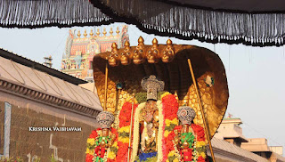 Sri Ranganatha Perumal, Pallava Utsavam, Sri Mannatha Perumal,Thirumanjanam, Purappadu,  Triplicane,  Purappadu, Thiruvallikeni, Utsavam, 