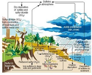 Ekosistem Aliran Energi Siklus Materi dan AliranMateri 