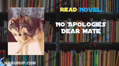 No Apologies Dear Mate Novel Liam and Eva